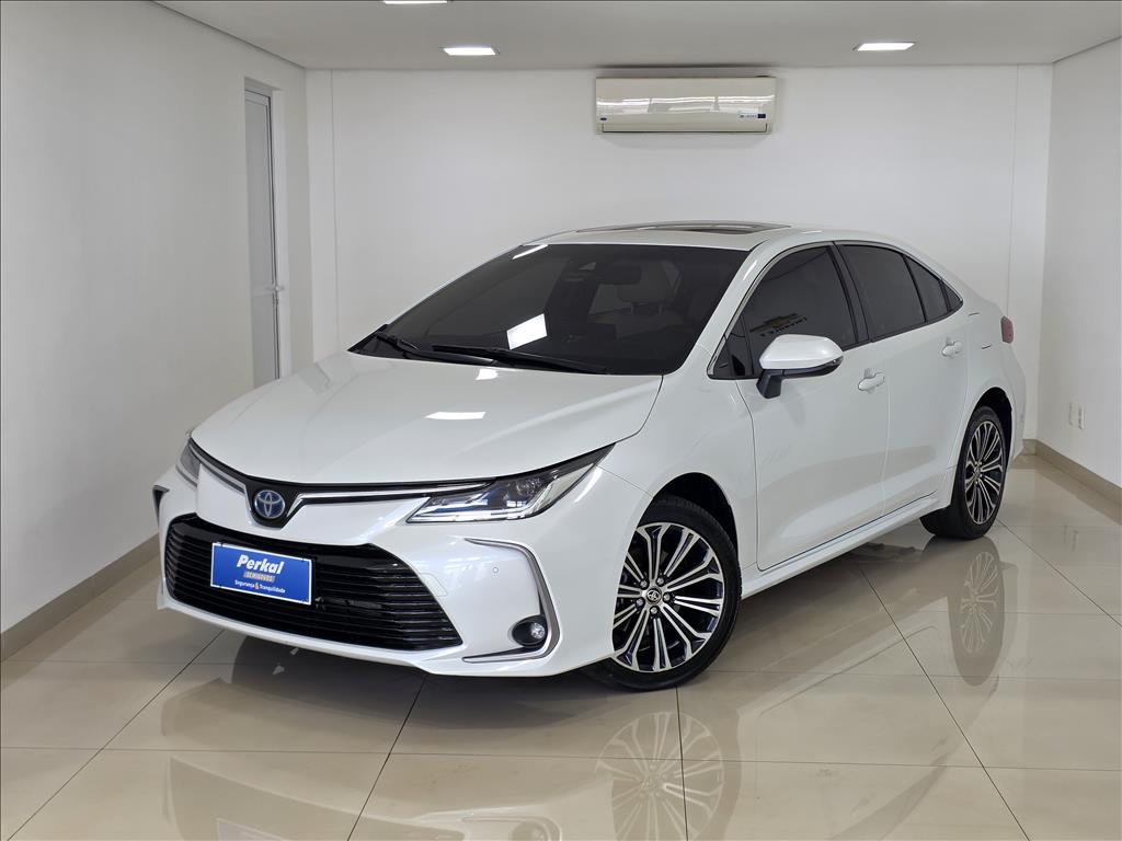 avip_cdn_image1769833820