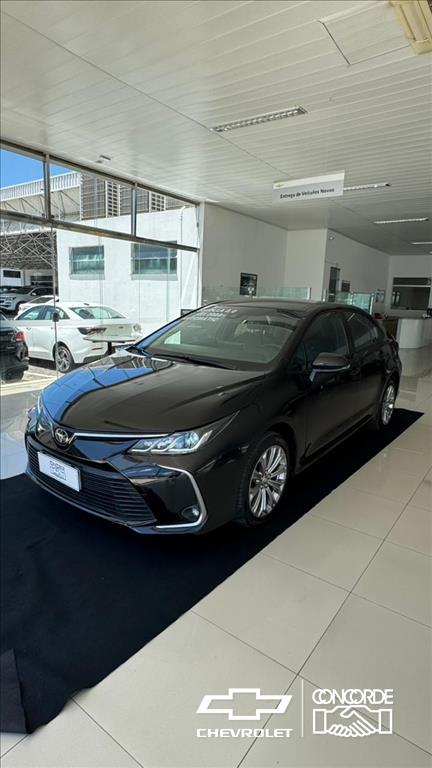 avip_cdn_image1769833029