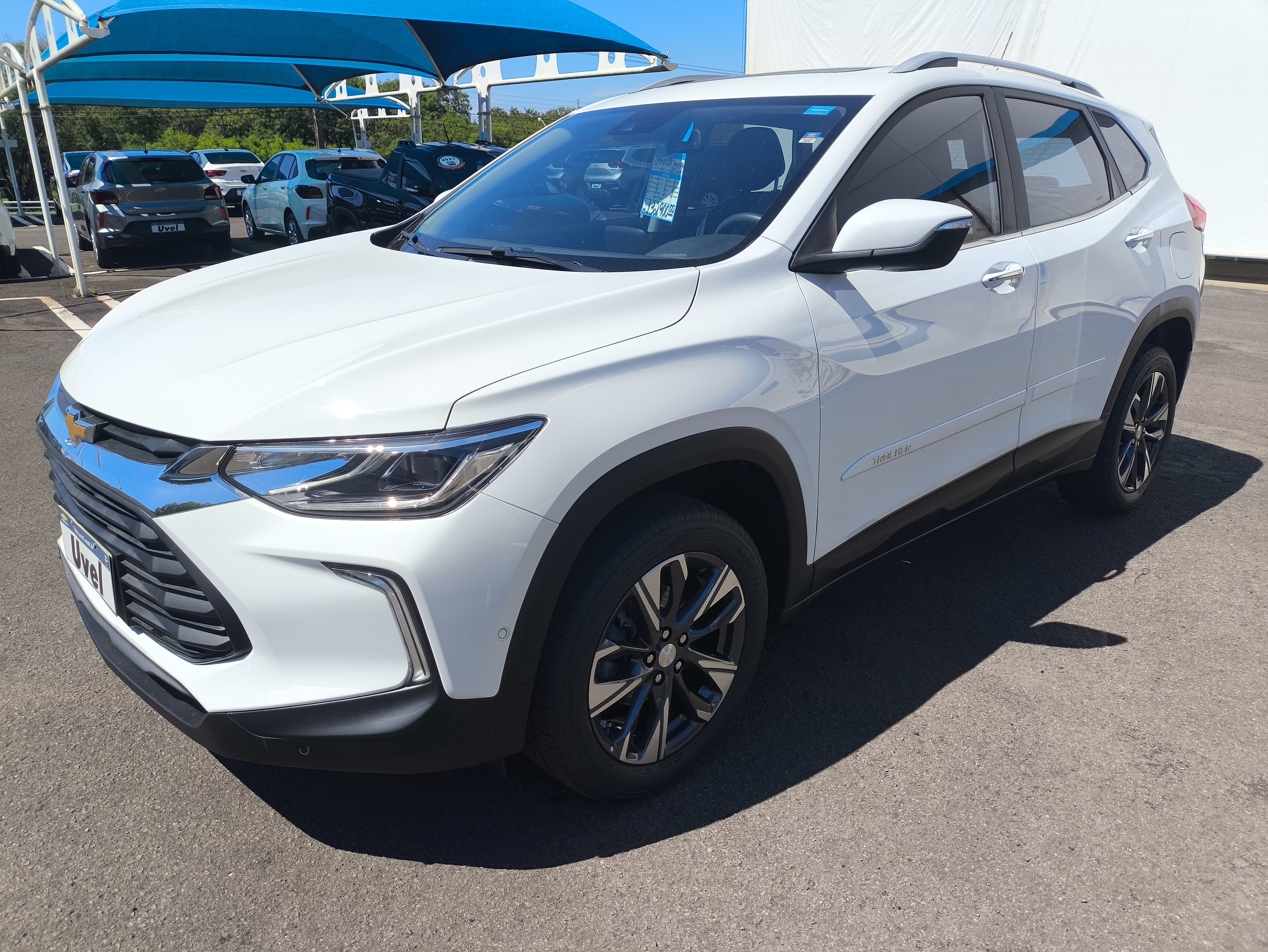 avip_cdn_image1769826579