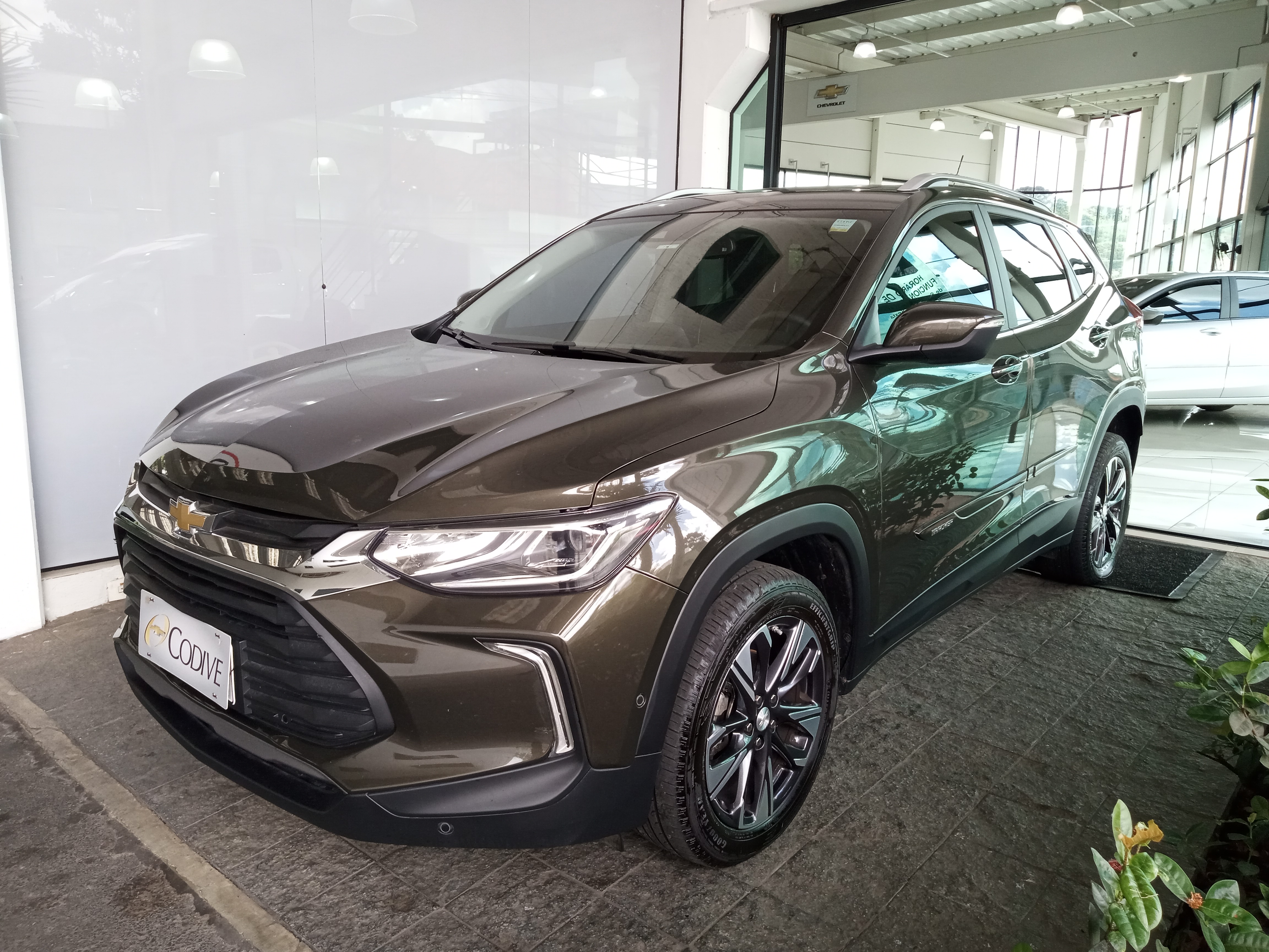 avip_cdn_image1769870599