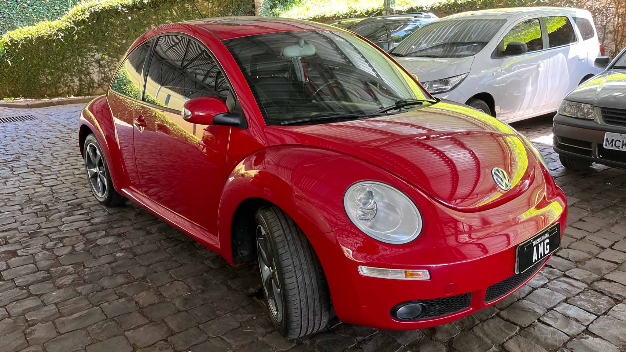 avip_cdn_image1770389991