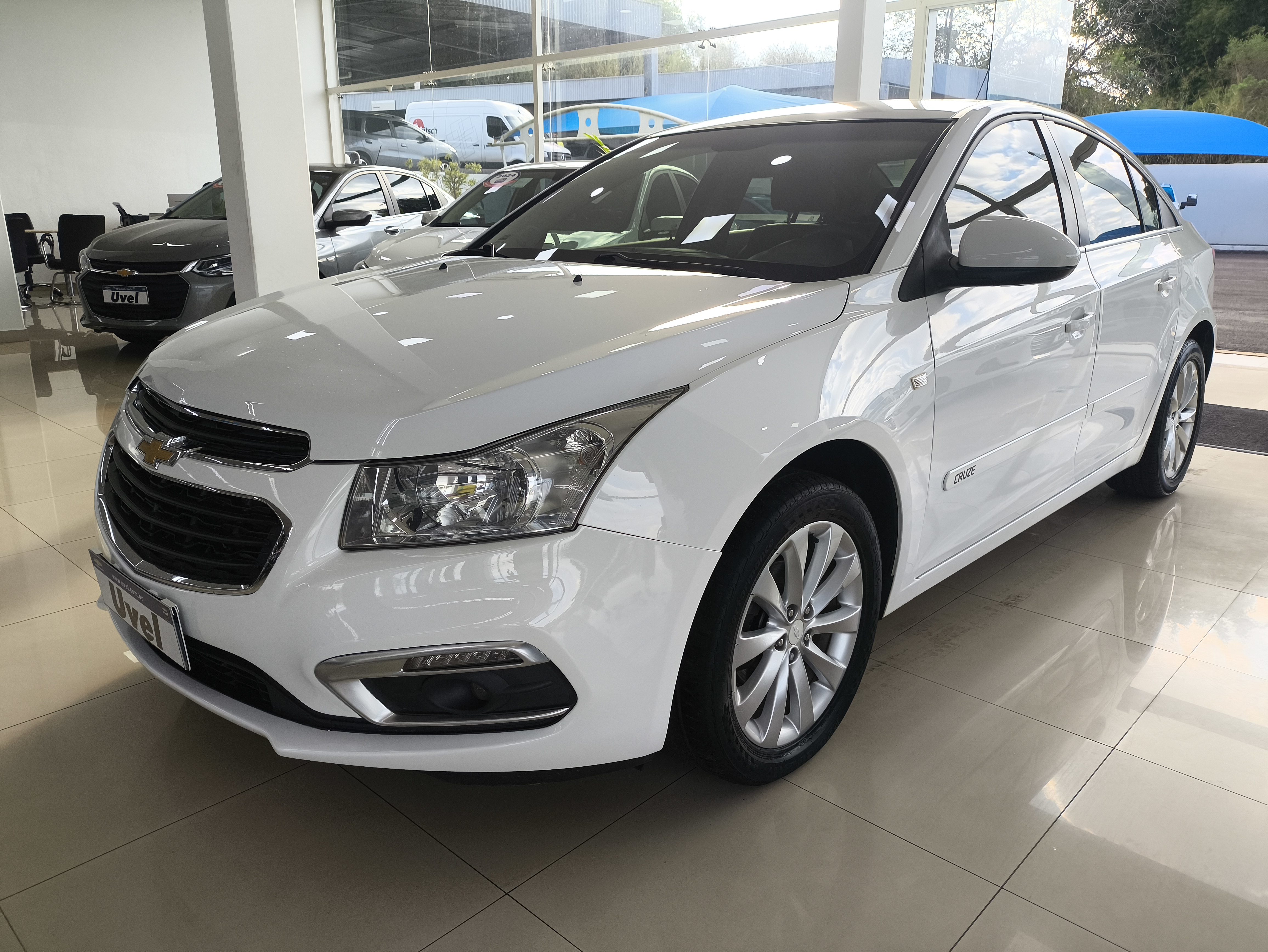 avip_cdn_image1787662893